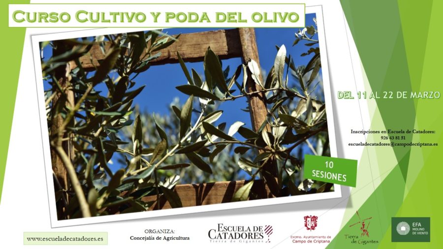 Curso del Cultivo y la Poda del olivo