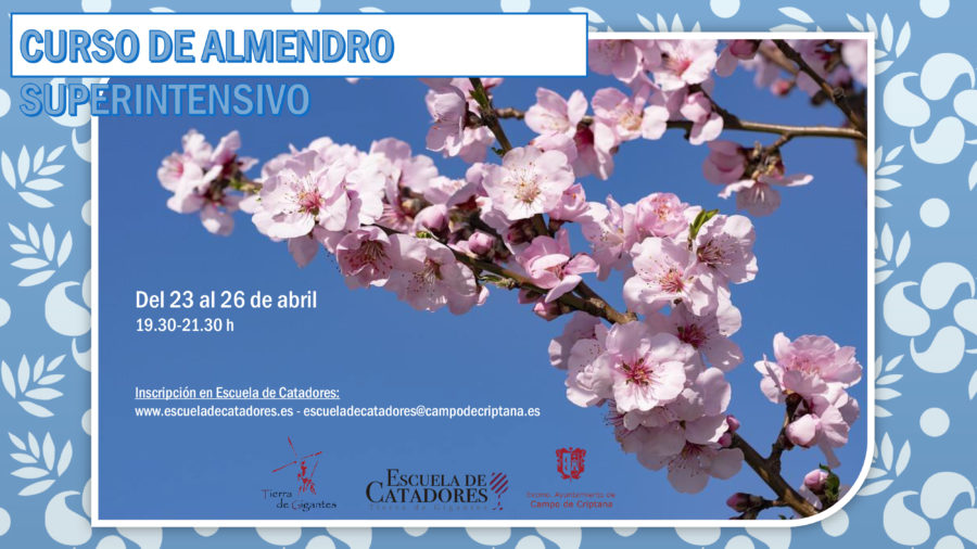 Curso: “El almendro superintensivo”