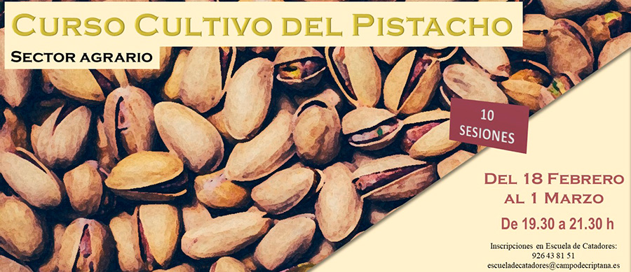 Curso del Pistacho en Escuela de Catadores