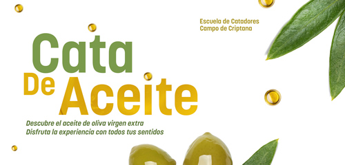 Cata de aceite