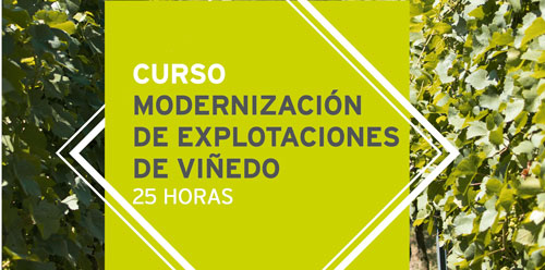 Curso de modernización de explotaciones de viñedos