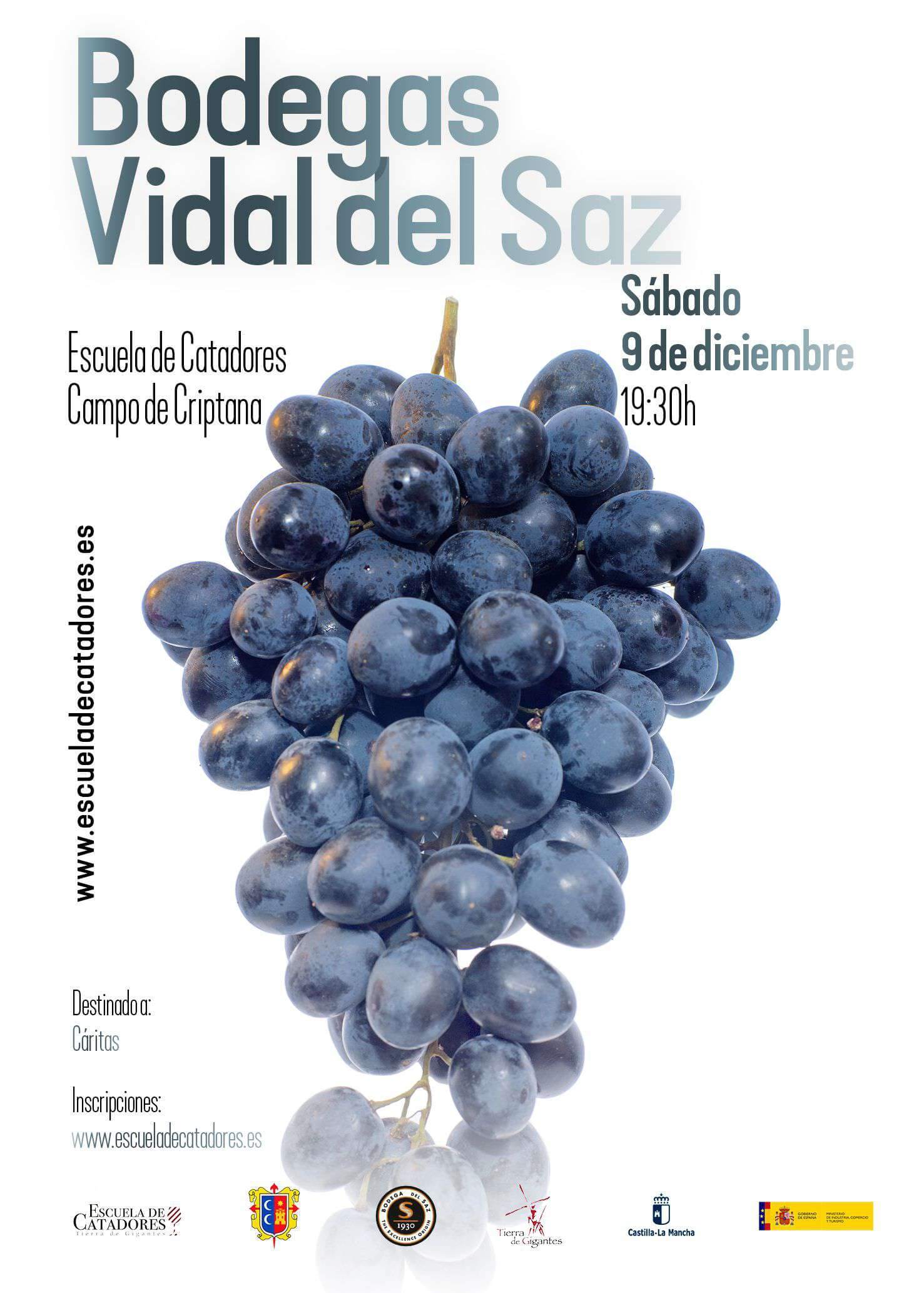 Cata de vinos Bodegas Vidal del Saz - Escuela de Catadores de Campo de Criptana